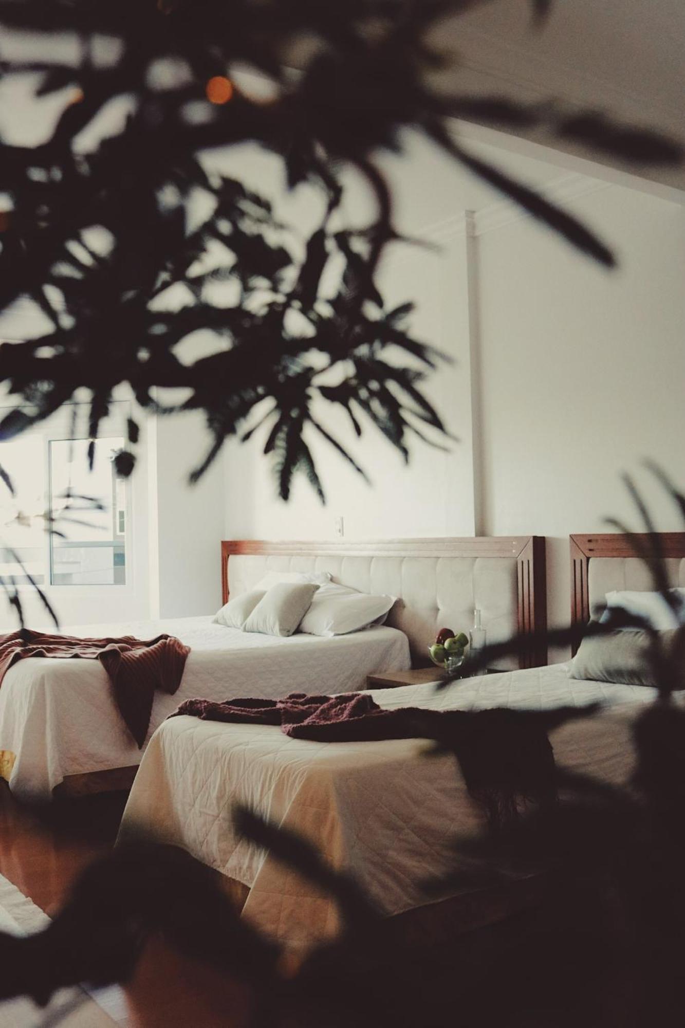 Hotel Solaris Sao Miguel d'Oeste Екстериор снимка